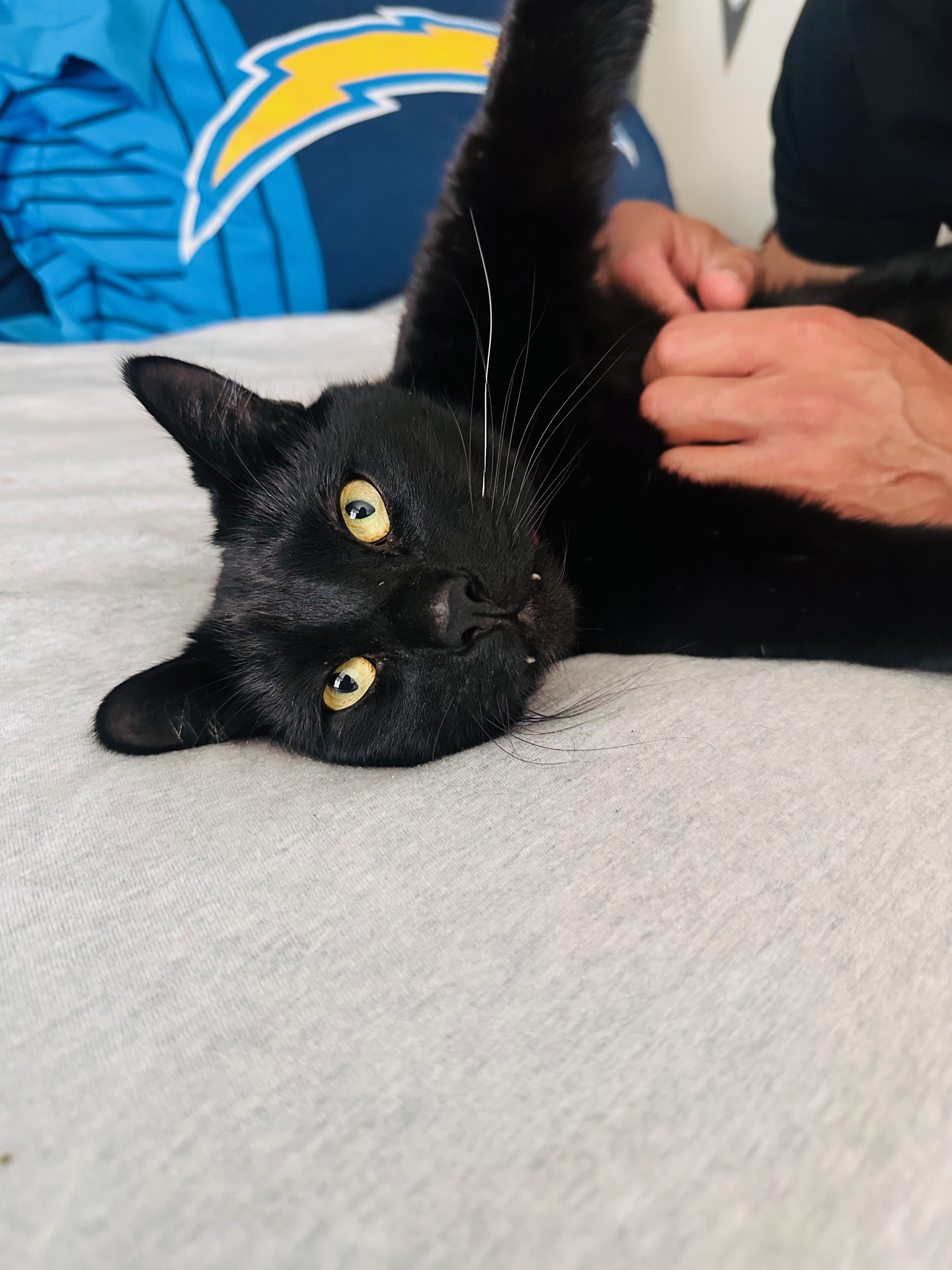 05161024 ff0a 48ee ab99 9133d347cfa6