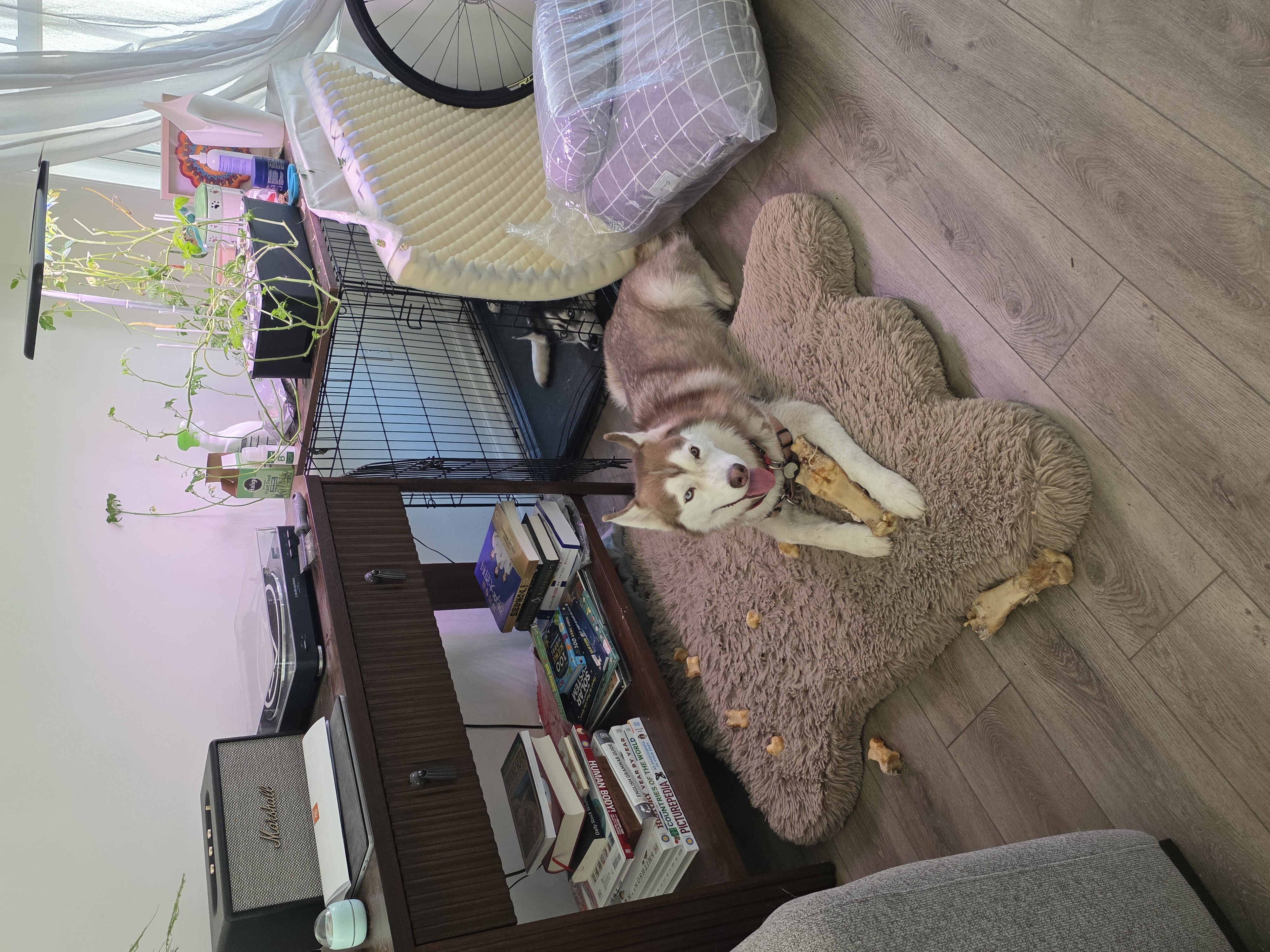 22485cdf ae50 4b7b b59f db179c4ae2fe