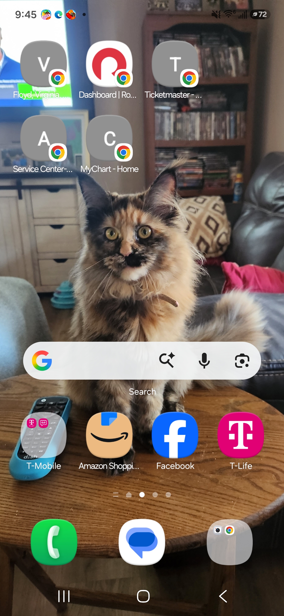 Lost & Found Pets Database 2 26288282 c7b1 4ec9 a275 5f19e70d3b60