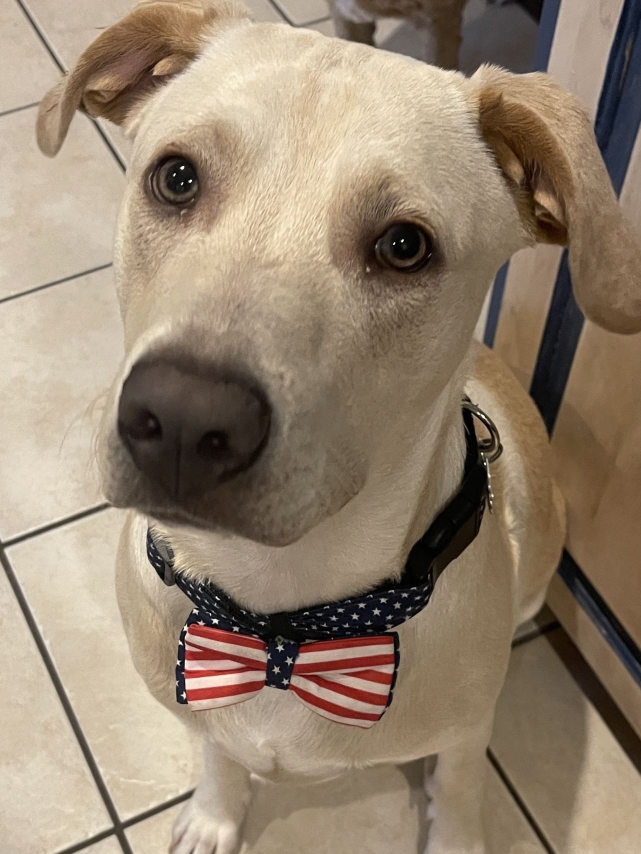 3ff0f1a1 c874 4f00 8115 a3a27eed2663