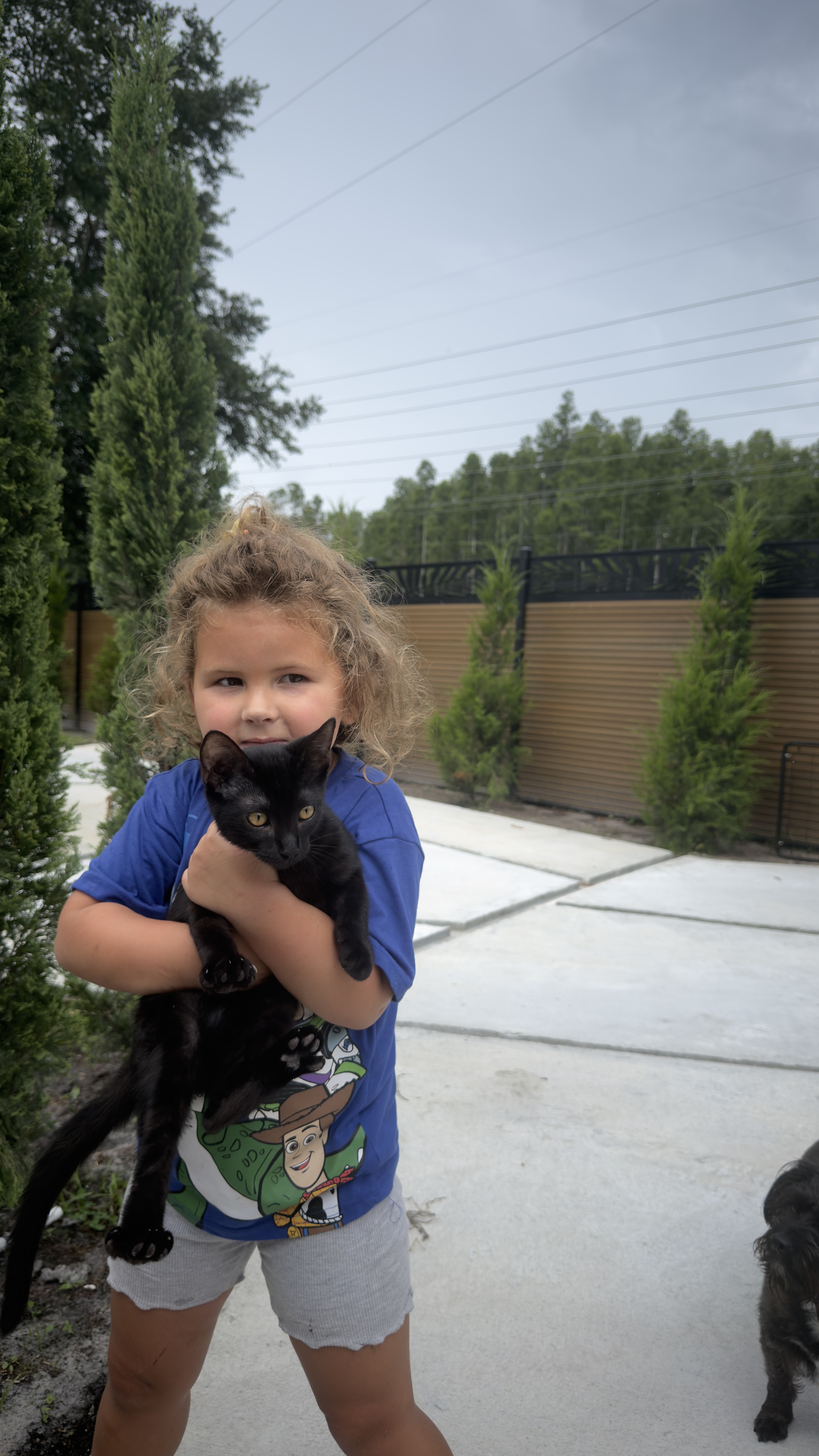 Cape Ann Lost Pets 5 4b6bf451 b46c 4cba a167 0a43786741e9