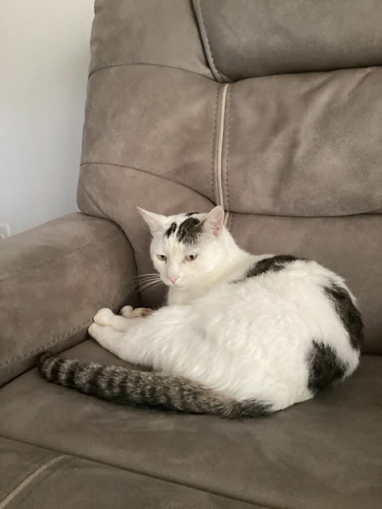 67b6e8d6 7928 4a57 be7e 946049dc70c9