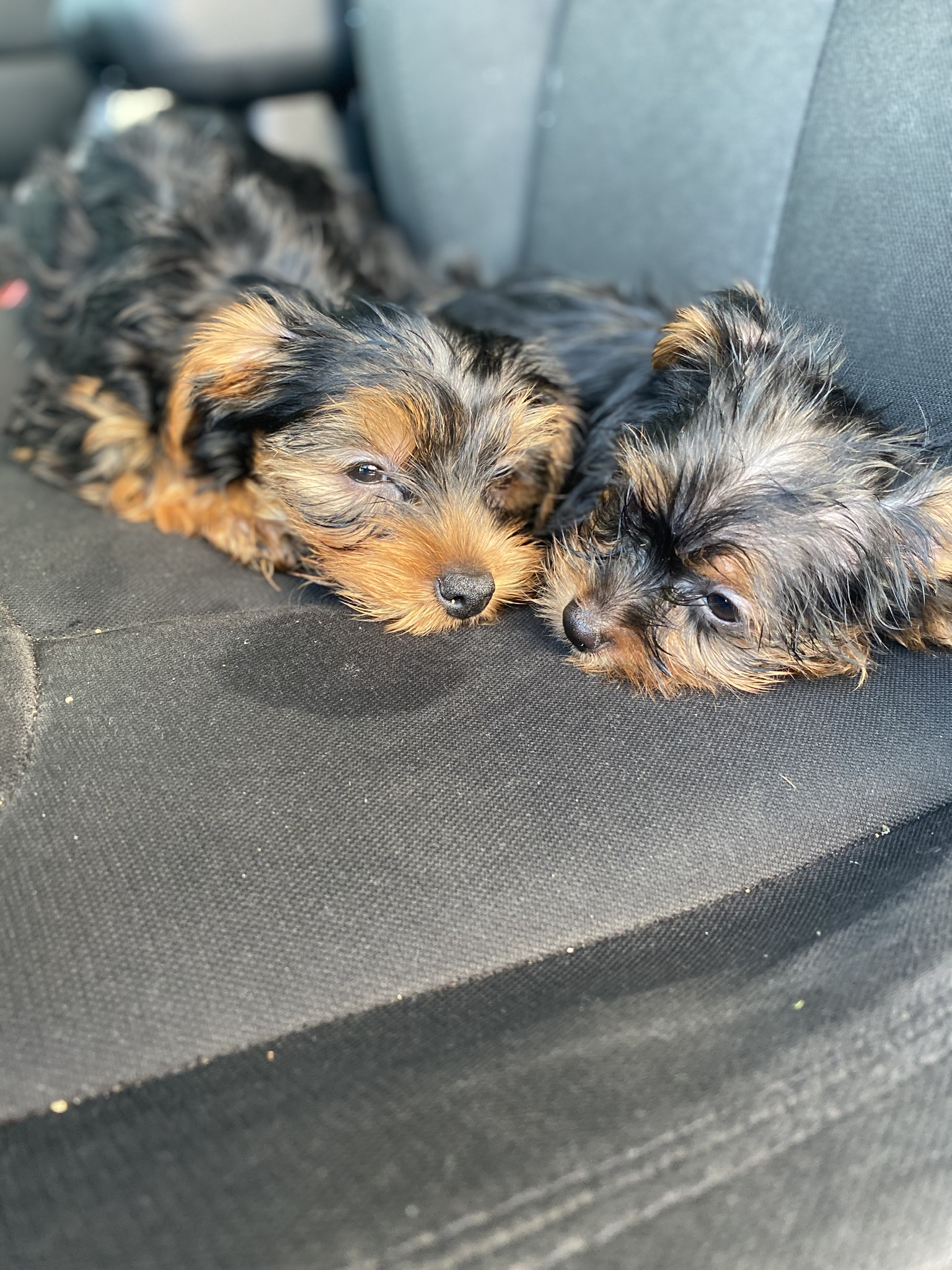 701261c1 ad48 462c 8b0b 94f4f70a98e3