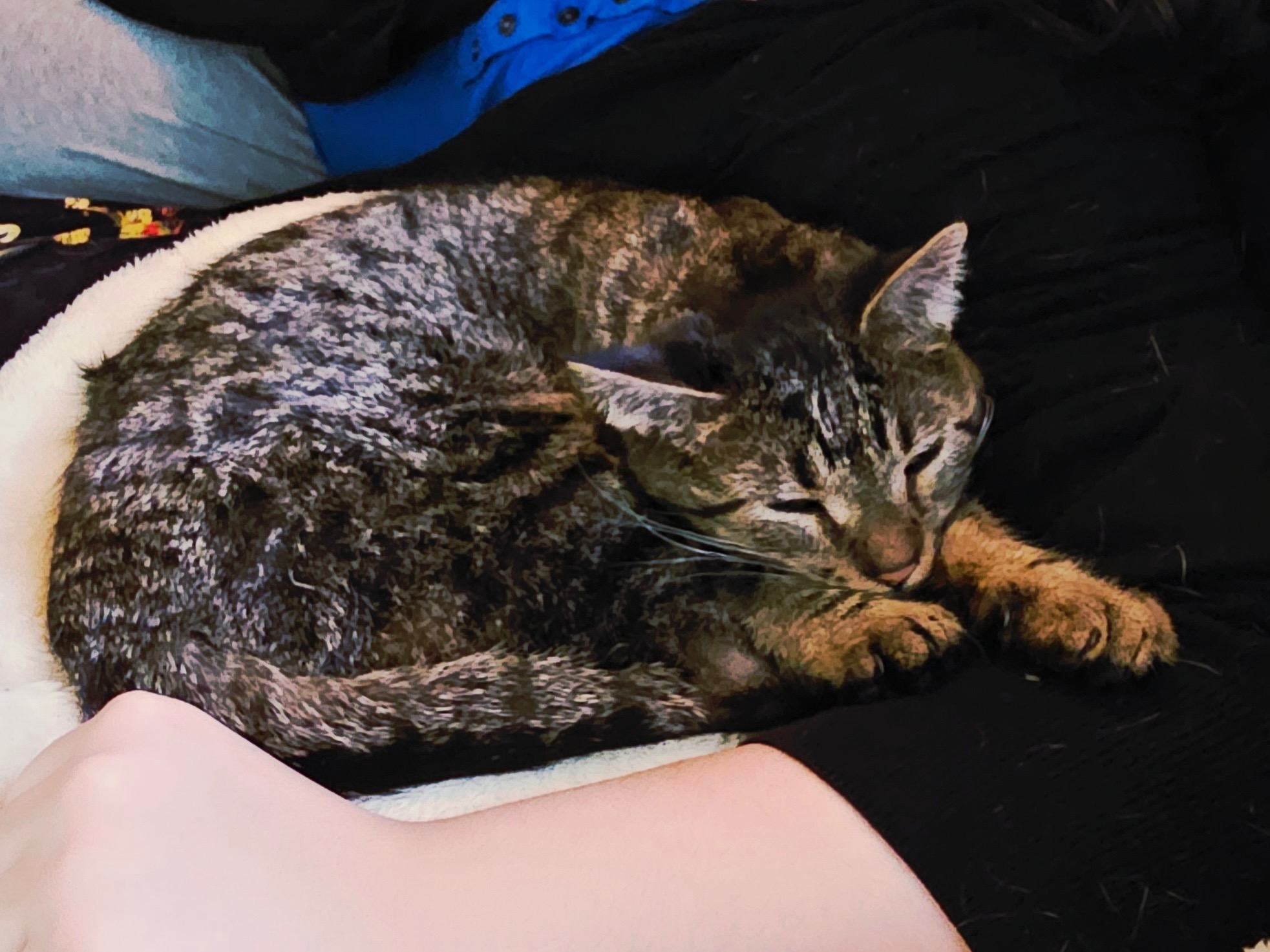 8ccfbc49 e571 46eb a792 8f2a6f1fbceb