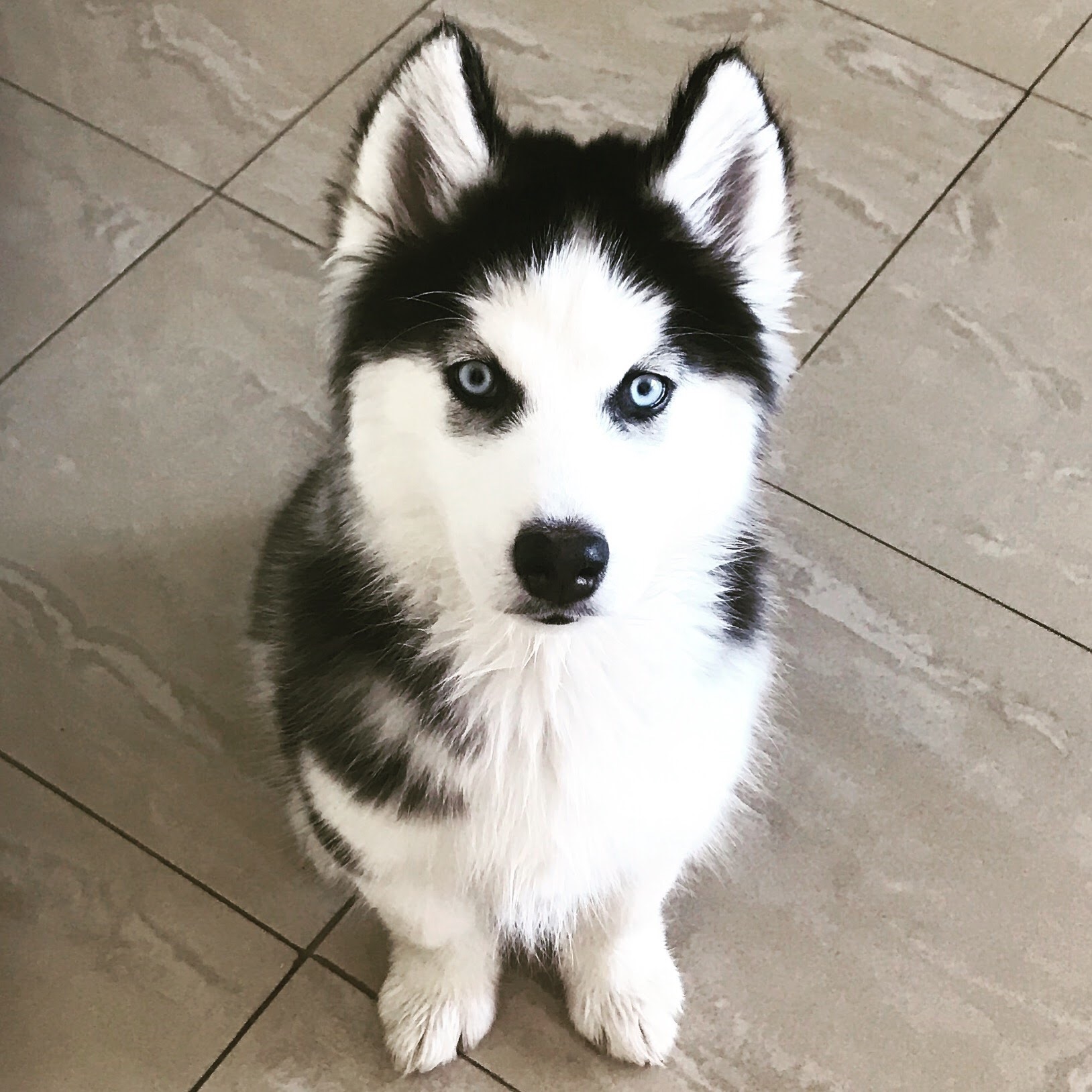 9359865b fda8 4010 9f65 79973e222b06