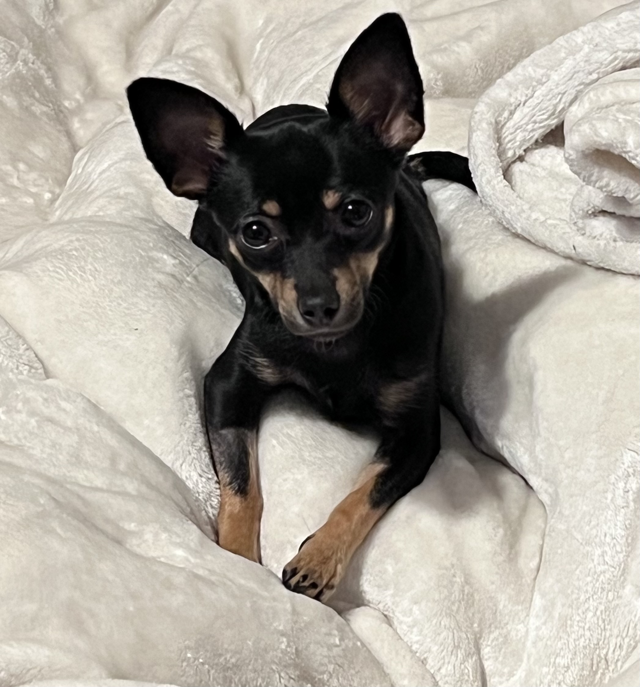 9a7a6350 9f1c 497d 939b cd8eb02dfa8e