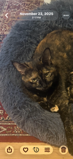 afcc8d44 4c19 47b7 ad30 700eec3415e8