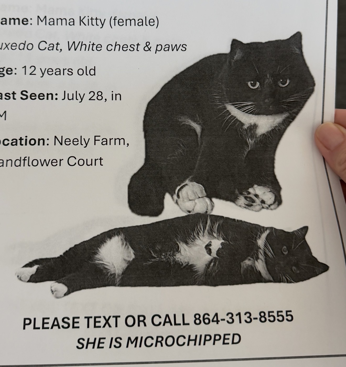 Lost & Found Pets Database 2 b53d379e 3cb1 489e 8a22 9ee94c345b25