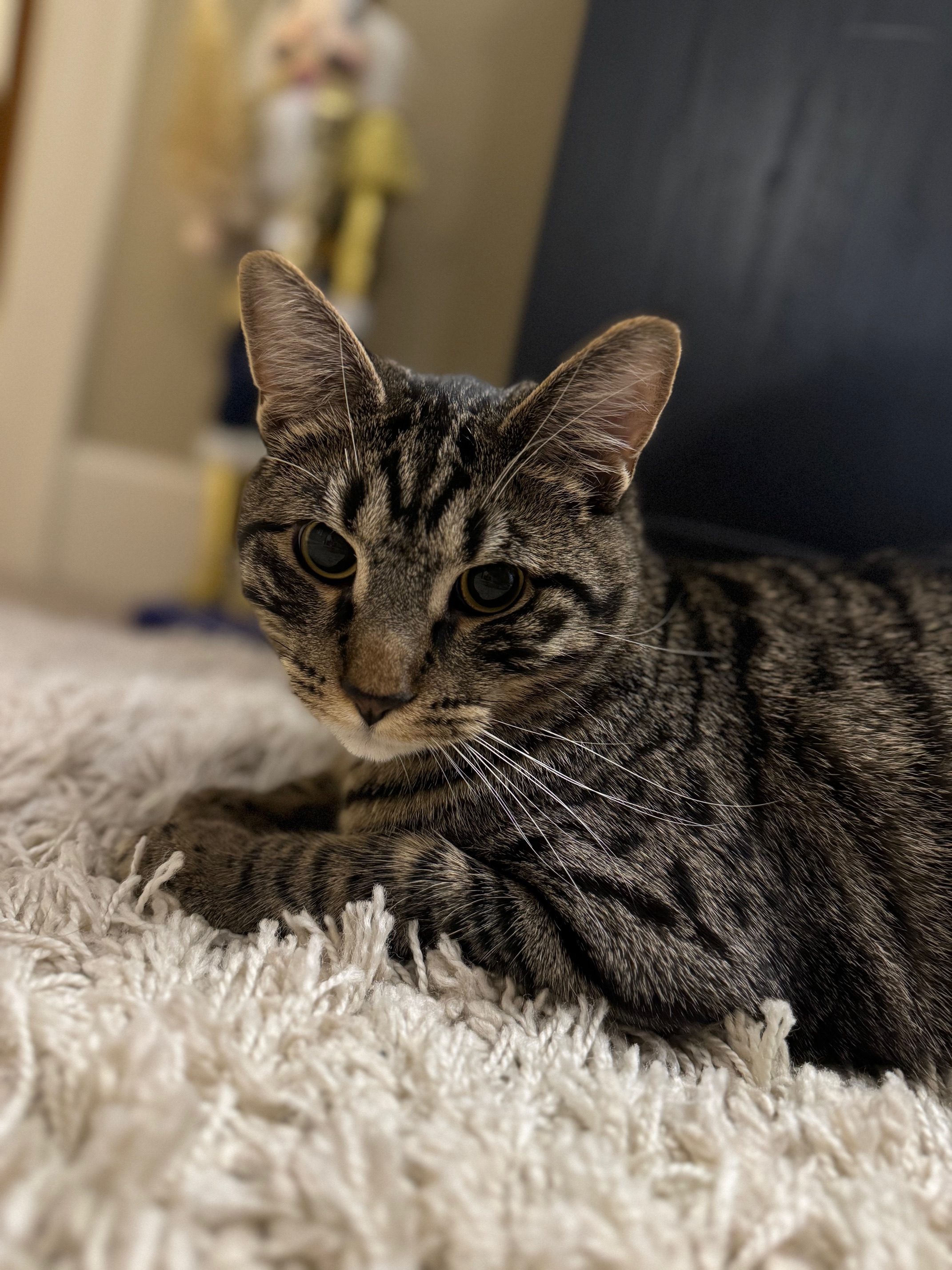 bcc1f083 edc5 453c 9302 bdac1d75be12