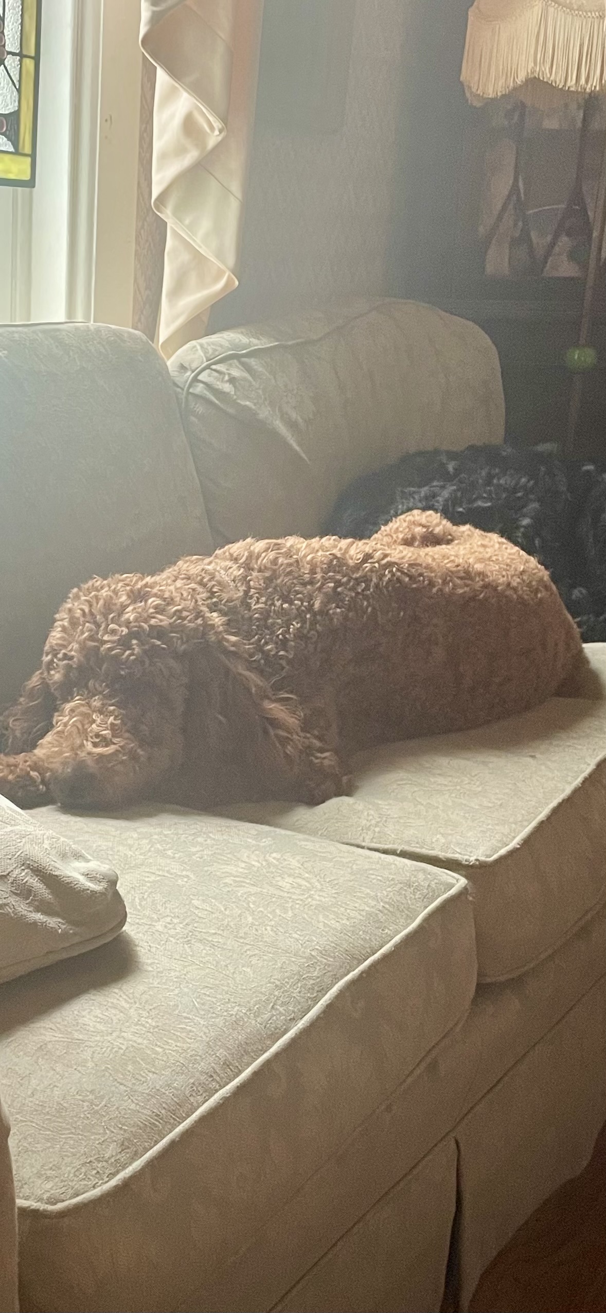 c732891a c1de 4fdc b591 2133455fbeb6