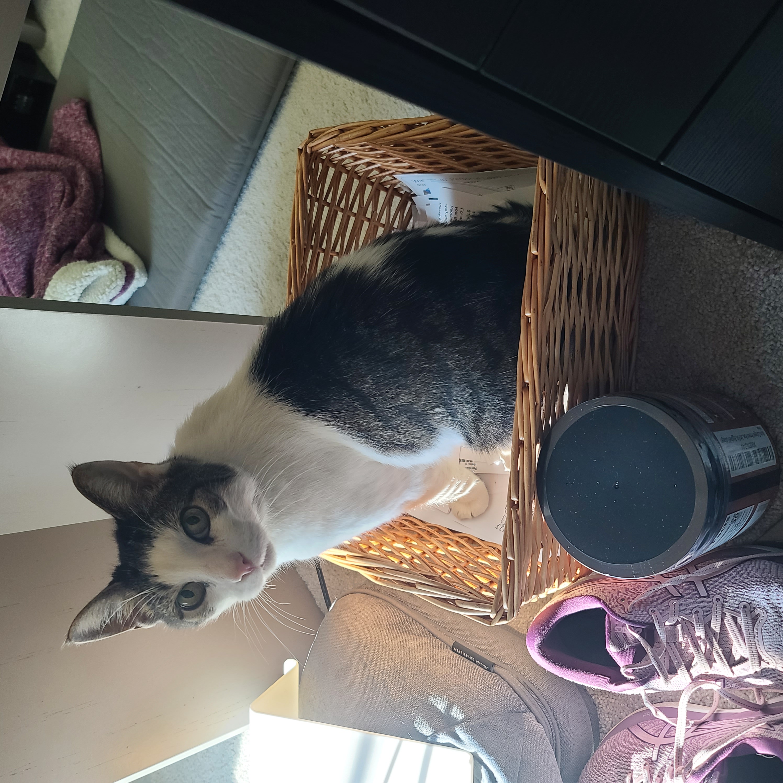 ca29faad 9087 462d a9d4 84d395b5feaa