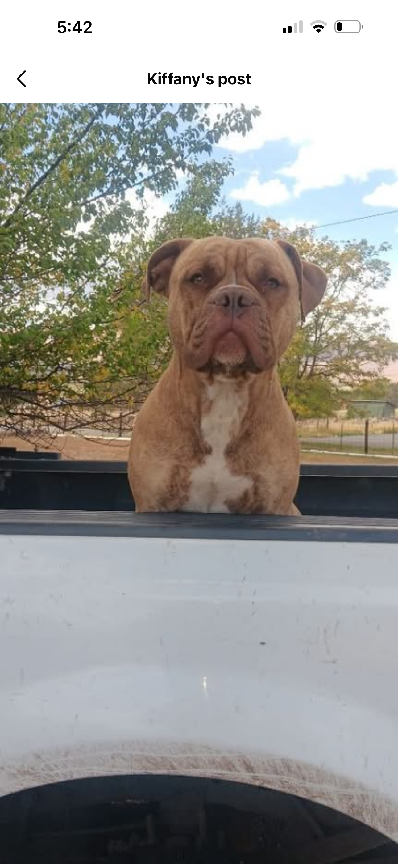 d97ee3b6 ee81 47ce ba57 0ea3564e8b90