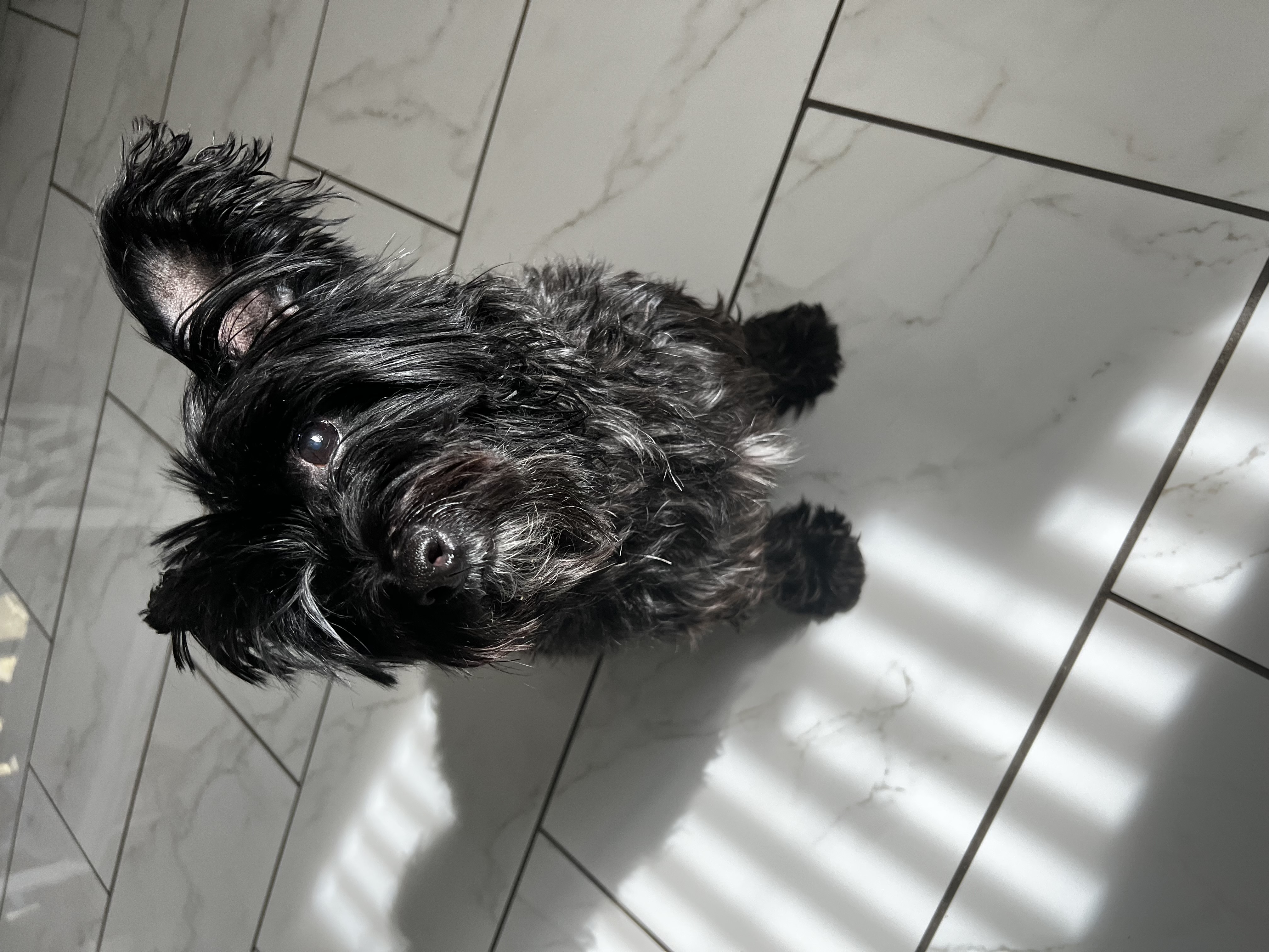 f292f166 8213 415a ba1d 81ca44334c67